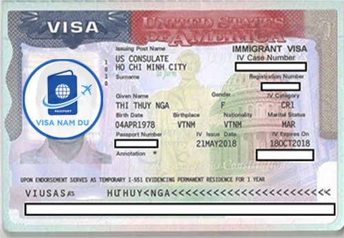 Visa điện CR1
